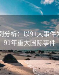 2025案例分析：以91大事件为例，1991年重大国际事件