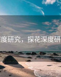 探花深度研究，探花深度研究方案