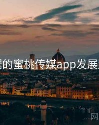 基于数据的蜜桃传媒app发展趋势预测