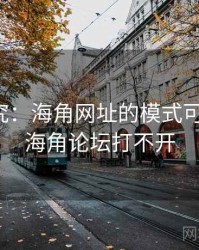 深度研究：海角网址的模式可复制性，海角论坛打不开