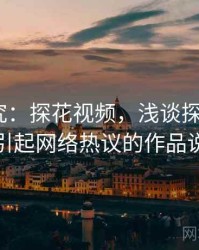 行为研究：探花视频，浅谈探花_从一部引起网络热议的作品说起