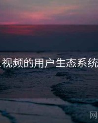 新91视频的用户生态系统分析