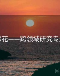 国产探花——跨领域研究专题研究