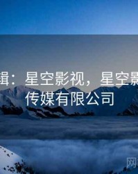 产业逻辑：星空影视，星空影视文化传媒有限公司