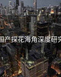 国产探花海角深度研究