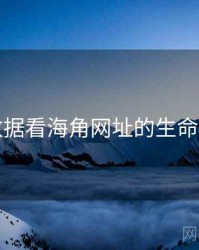 从数据看海角网址的生命周期
