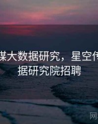 星空传媒大数据研究，星空传媒大数据研究院招聘
