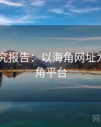 2025研究报告：以海角网址为例，海角平台
