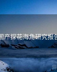 国产探花海角研究报告