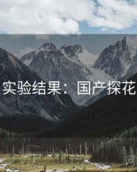 实验结果：国产探花