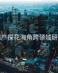 国产探花海角跨领域研究