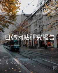 日韩网站研究报告