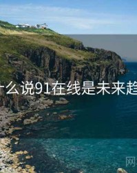 为什么说91在线是未来趋势？