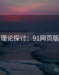理论探讨：91网页版