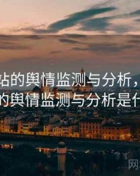 海角网站的舆情监测与分析，海角网站的舆情监测与分析是什么