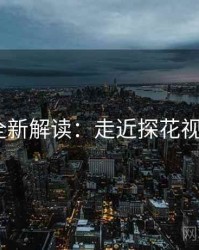 2025全新解读：走近探花视频app