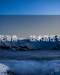 国产探花海角——技术路径专题研究