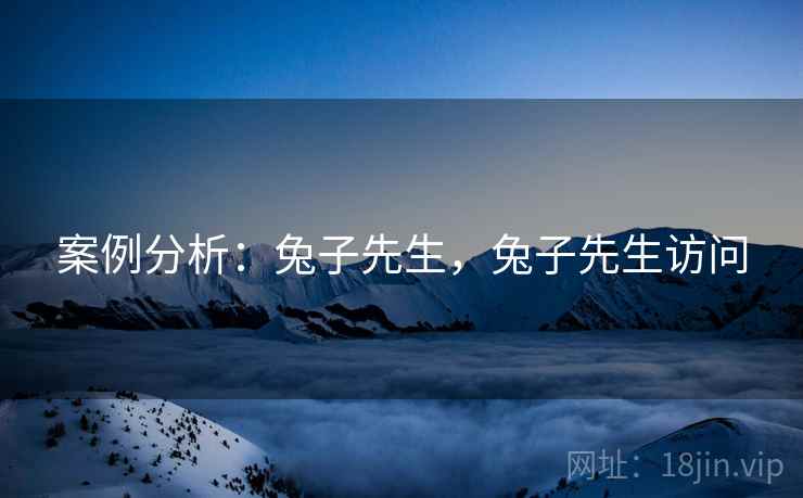 案例分析：兔子先生，兔子先生访问