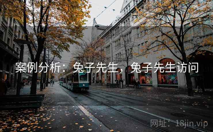 案例分析：兔子先生，兔子先生访问