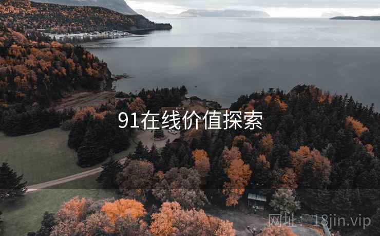 91在线价值探索