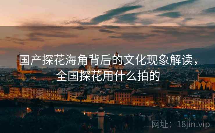 国产探花海角背后的文化现象解读，全国探花用什么拍的
