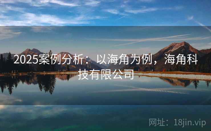 2025案例分析：以海角为例，海角科技有限公司