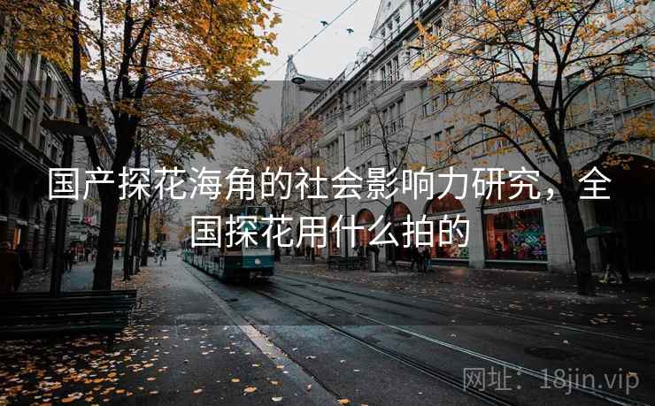 国产探花海角的社会影响力研究，全国探花用什么拍的