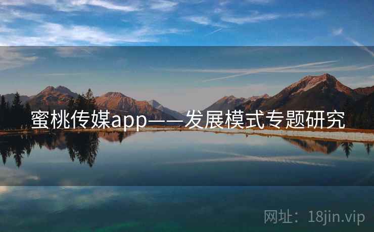 蜜桃传媒app——发展模式专题研究
