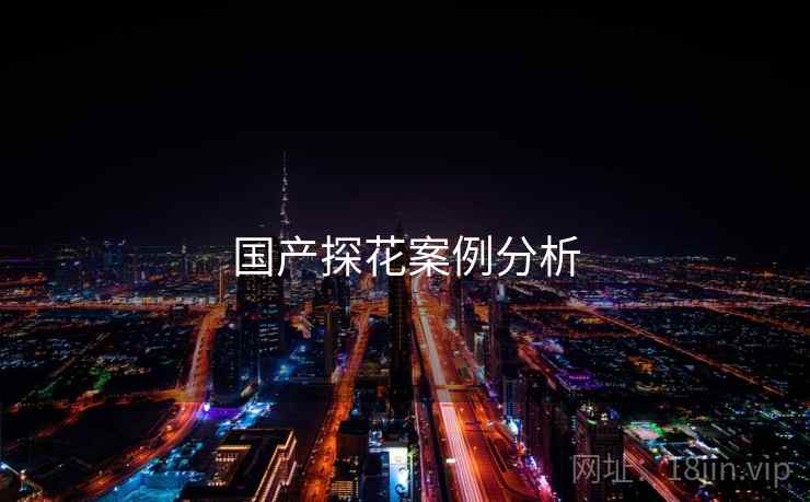 国产探花案例分析