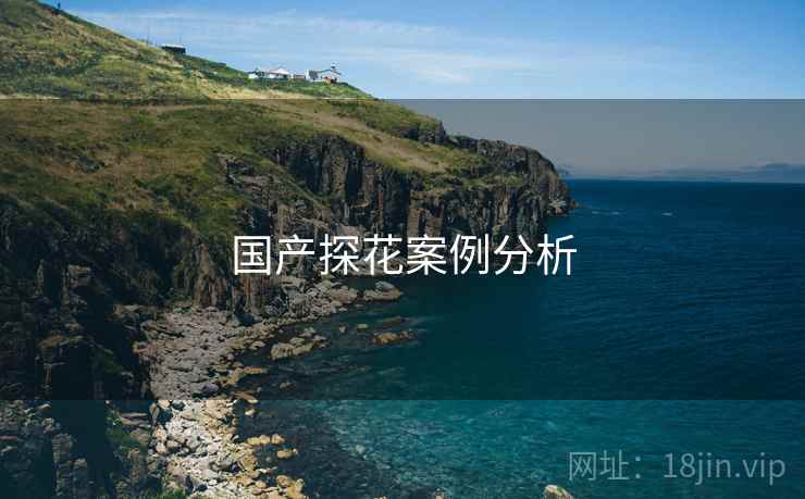 国产探花案例分析