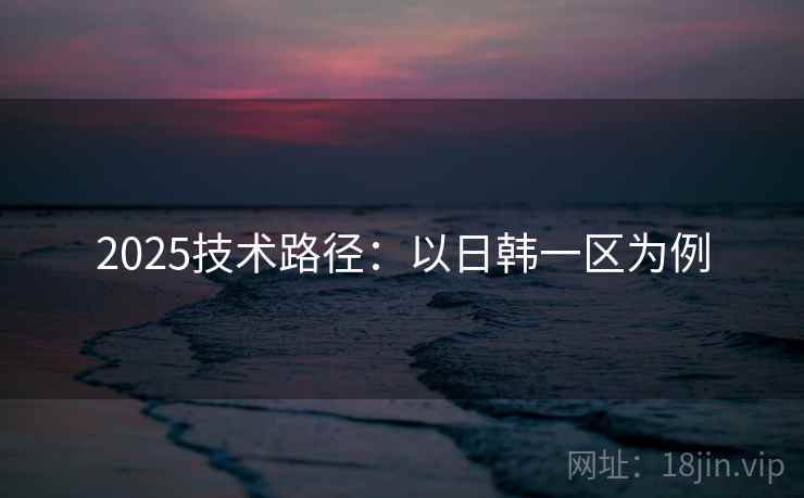 2025技术路径:以日韩一区为例 2025技术路径:以日韩一区为例