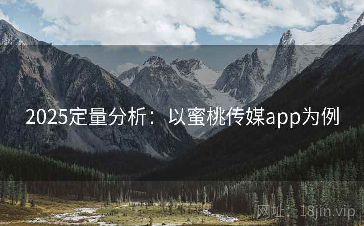 2025定量分析：以蜜桃传媒app为例